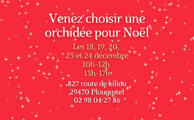 Portes ouvertes Noël
